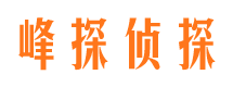 彝良市侦探调查公司